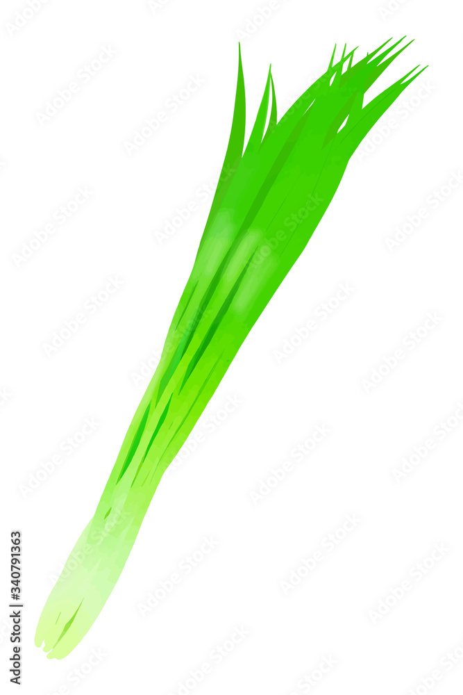 ニラ ニラ