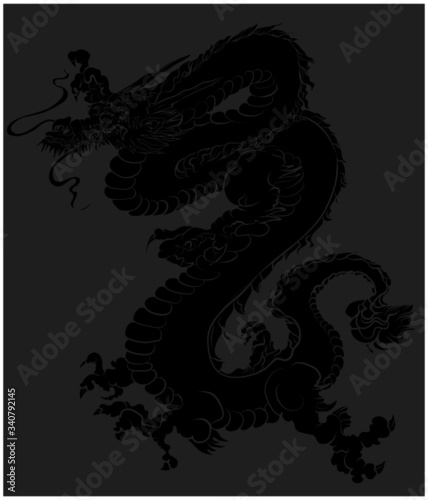 Hand drawn Silhouette dragon.Chinese dragon tattoo.Black and white Traditional Japanese dragon.Dragon coloring book.