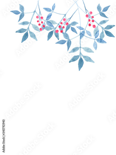 ナンテンのフレーム