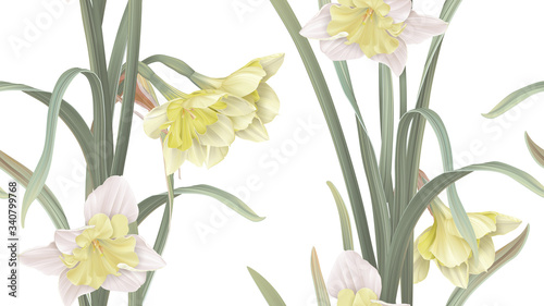 Fotografie, Obraz Floral seamless pattern, daffodil flowers with leaves on white