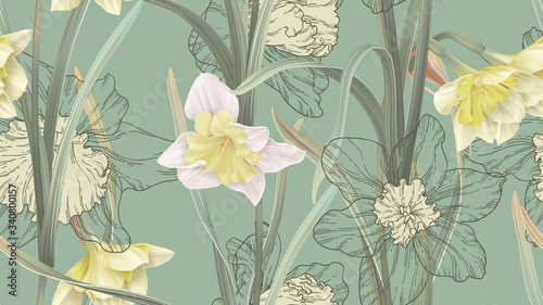 Floral seamless pattern, daffodil flowers with leaves on green photo