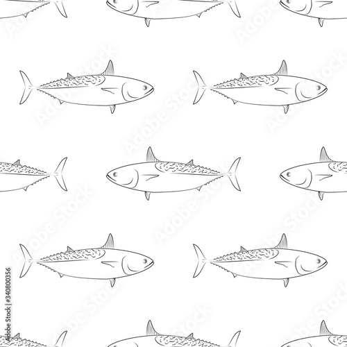 Tuna Fish. Mackerel Tuna. Colored Vector Patterns