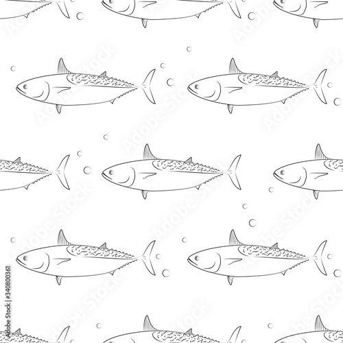 Tuna Fish. Mackerel Tuna. Colored Vector Patterns