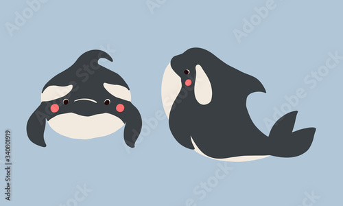 Cute flat killer whale drawing. Adorable little cartoon orca vector illustration. Childish rare animal wild ocean concept with lettering: I must live in the ocean