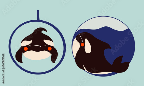 Cute flat killer whale drawing. Adorable little cartoon orca vector illustration. Childish rare animal in wild ocean. Save orcas, do not use dolphinarium, stop whale show , care about nature concept.
