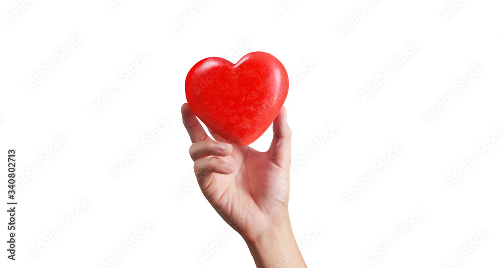Hands holding red heart. heart health. and donation concepts Hands holding red heart. heart health. and donation concepts