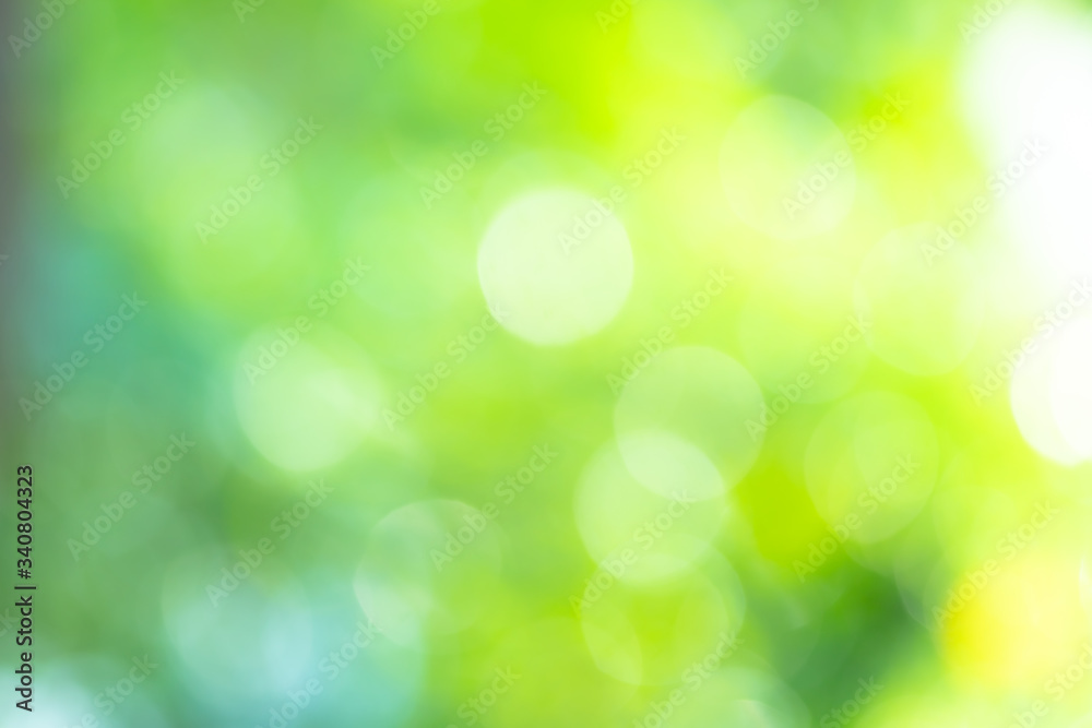 Abstract background Natural green bokeh Abstract background Natural green bokeh