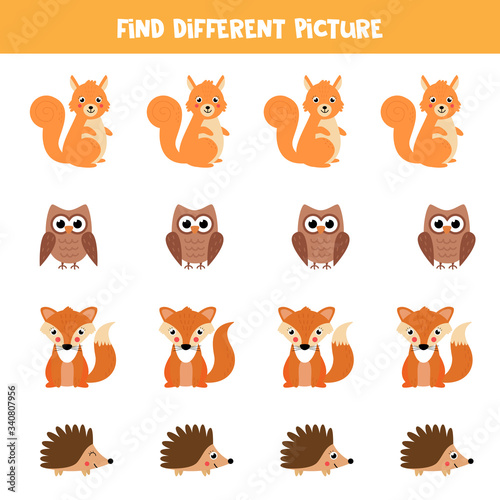 Find animal in reach row which is different from others.