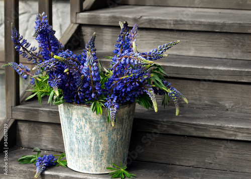 lavender flowers on wooden background