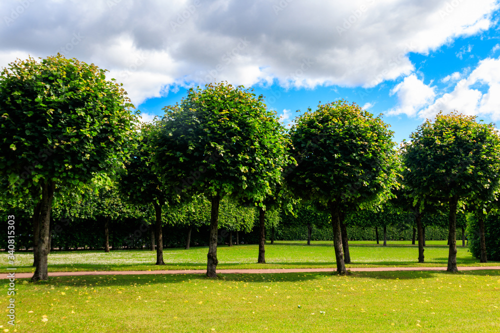 Formal garden in Catherine Park in Tsarskoye Selo, Pushkin, Russia