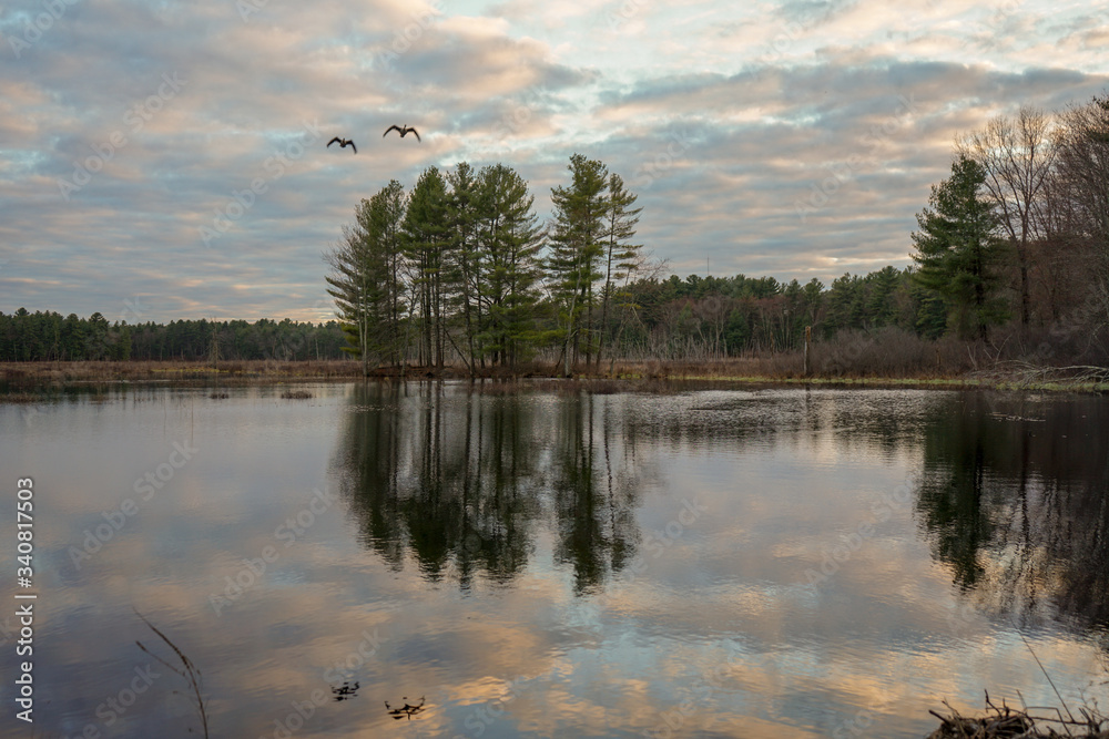 2 ducks over lake 2 ducks over lake