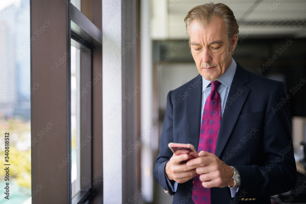 Mature handsome businessman using phone by the window at work Mature handsome businessman using phone by the window at work
