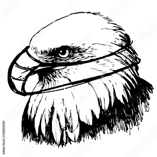 Black and white eagle with mask hand drawn photo