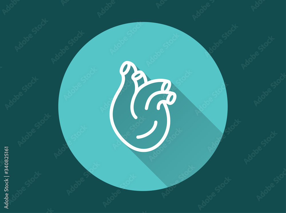 Human heart icon for graphic and web design. Human heart icon for graphic and web design.
