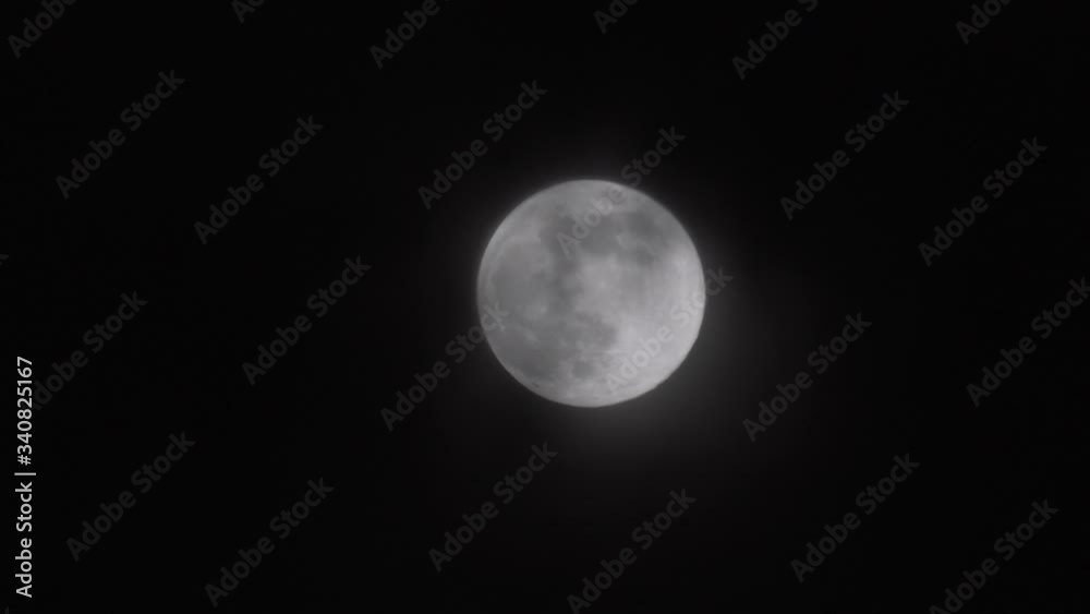 Focus pull through trees to a full moon. Big Supermoon at night Focus pull through trees to a full moon. Big Supermoon at night