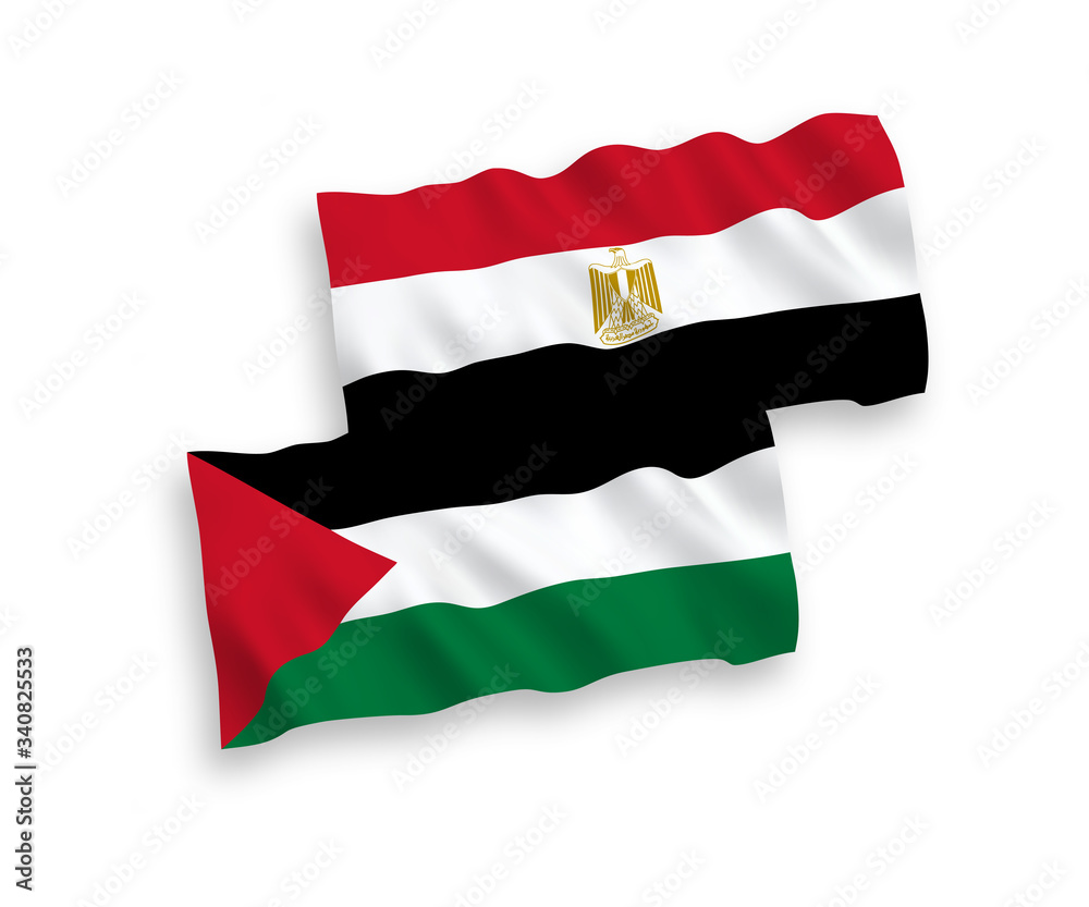 Flags of Palestine and Egypt on a white background