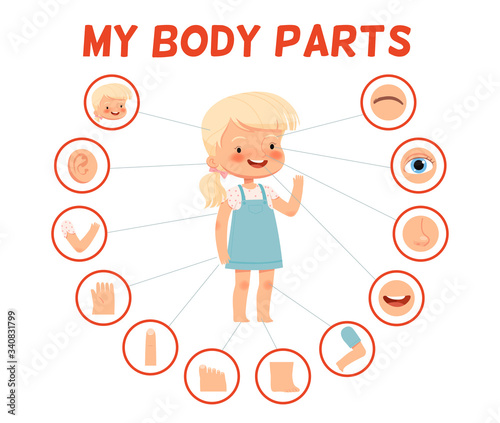 Poster for children learning. Cheerful girl and her body parts in separate pictures
