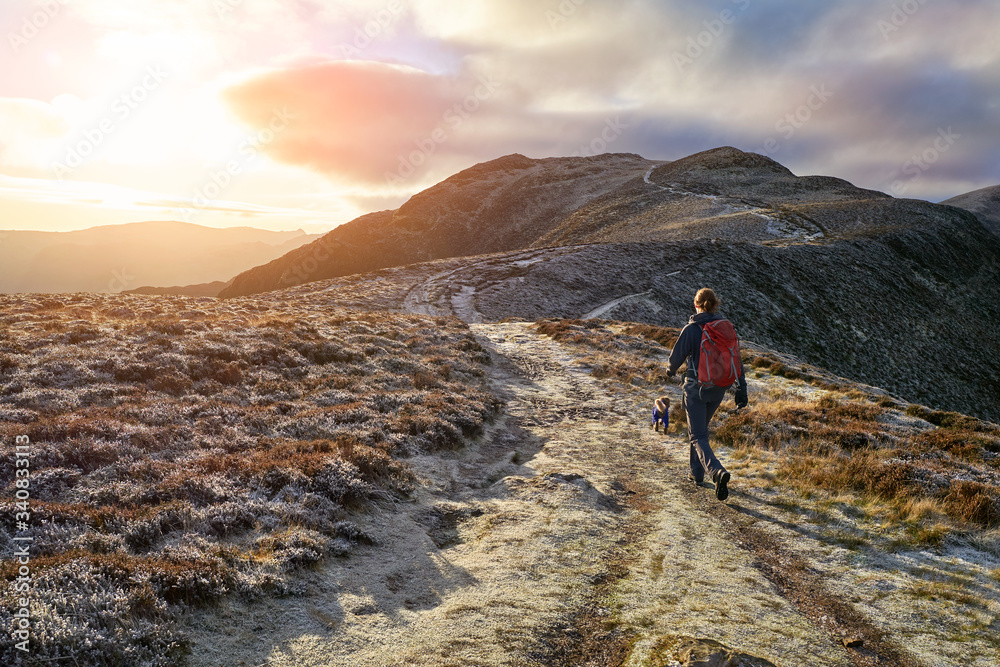 A hiker and their dog walking towards the mountain summit of High Spy from Maiden Moor at sunrise on the Derwent Fells in the Lake District, UK.