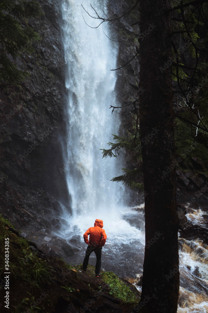 Waterfall in a dark forest