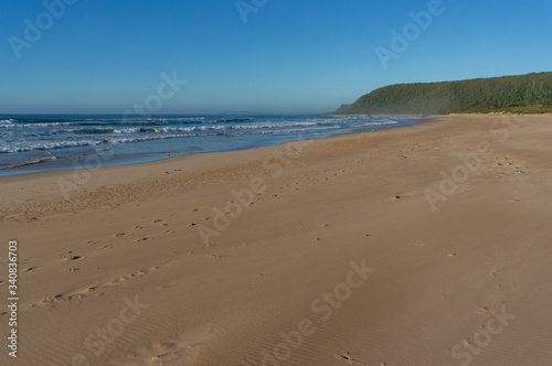 Beautiful summer beach landscape with forest hill