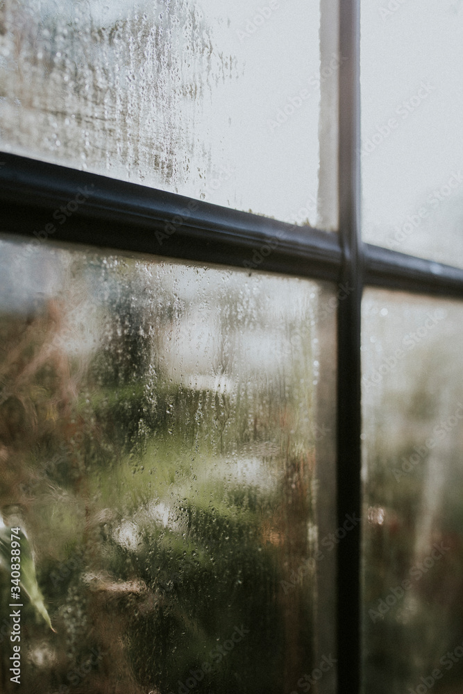 Obraz premium Garden view