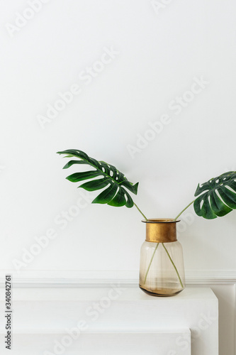 Plants on a vase