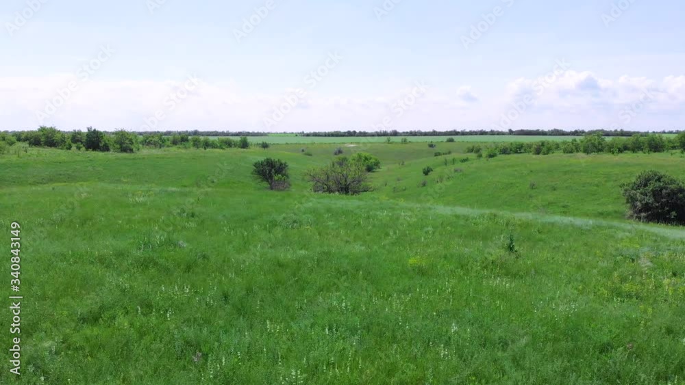 Ukraine. Spring. Drone. Aerial view. Flight over the green ravine. The camera moves from right to left. Ukraine. Spring. Drone. Aerial view. Flight over the green ravine. The camera moves from right to left.