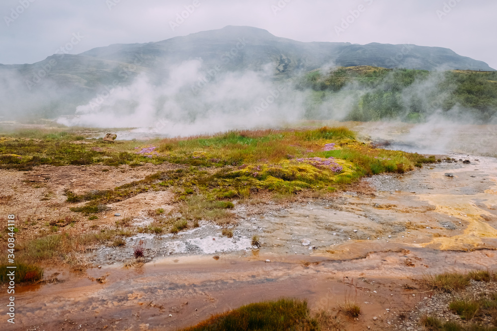 geyser valley in iceland and steam rising from hot springs