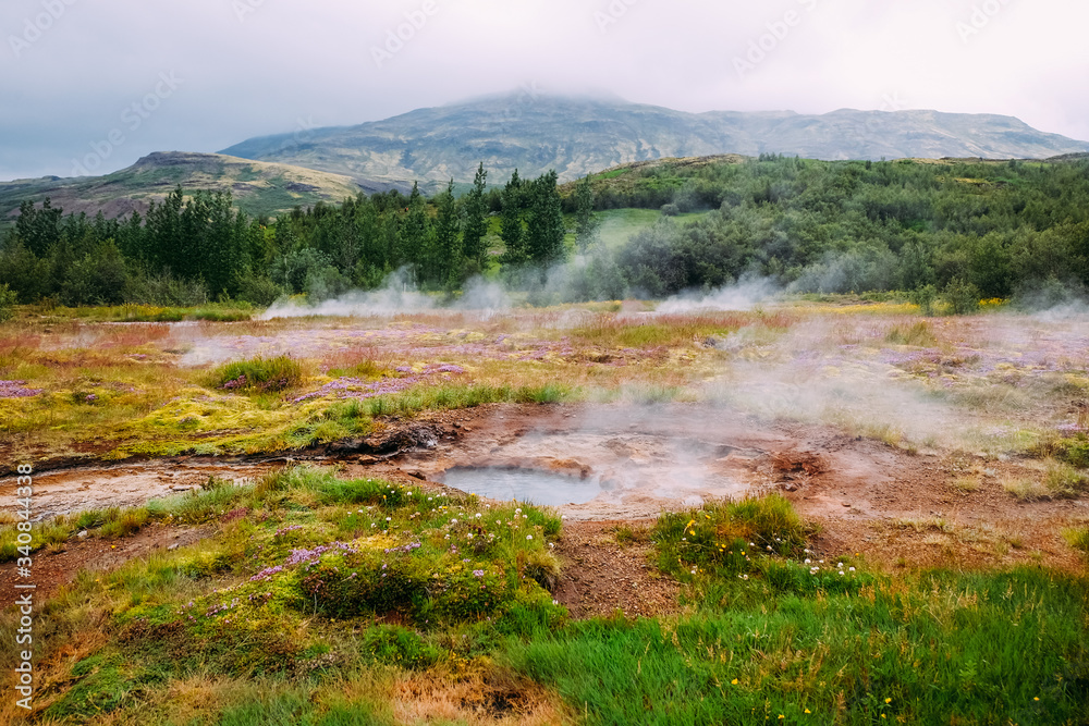 geyser valley in iceland and steam rising from hot springs