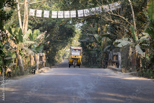 tuk tuk transportation vehicle along beautiful rural road in Bangladesh countryside surrounded by vegetation