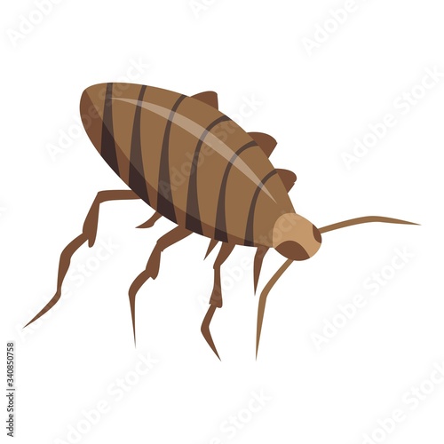 Cockroach insect icon. Isometric of cockroach insect vector icon for web design isolated on white background