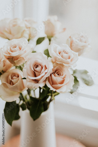Fototapeta Naklejka Na Ścianę i Meble -  Beautiful pink roses