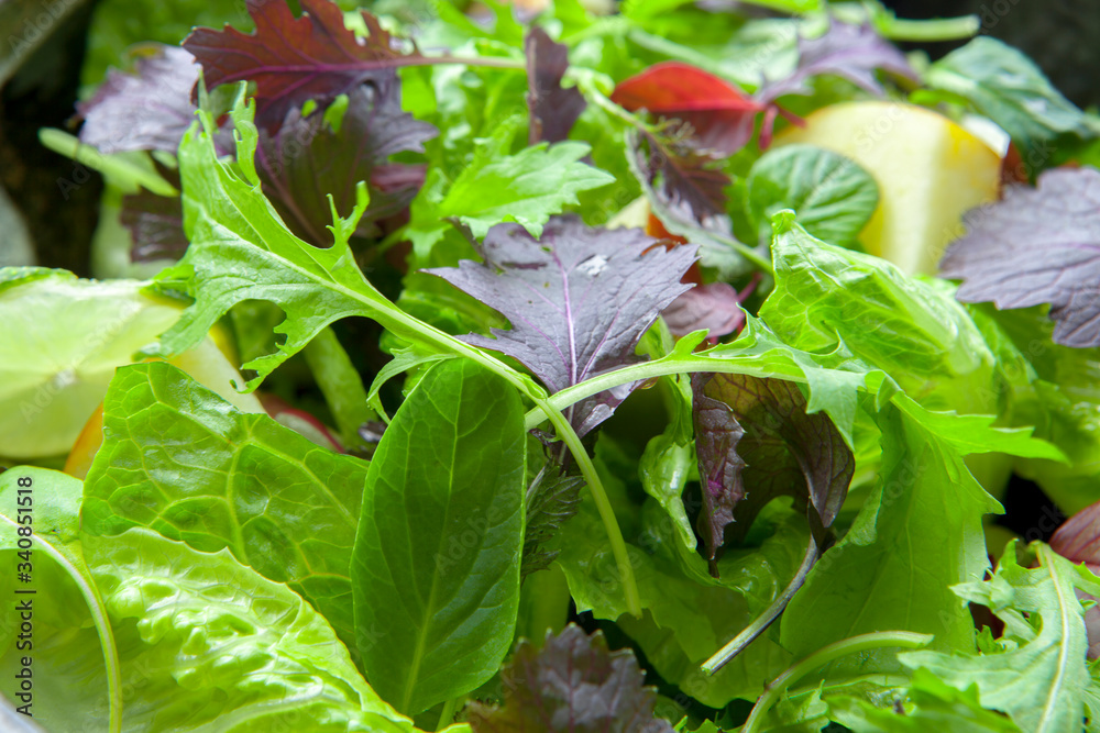Vegetarian favorite, continental breakfast lettuce salad with diverse vegetables