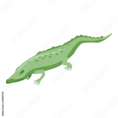 Crocodile icon. Isometric of crocodile vector icon for web design isolated on white background