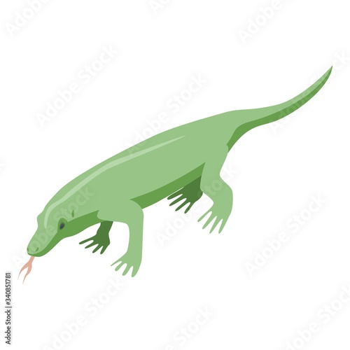 Amazon crocodile icon. Isometric of amazon crocodile vector icon for web design isolated on white background