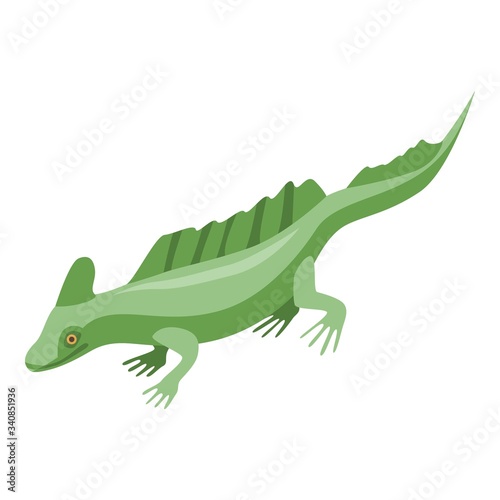 Green lizard icon. Isometric of green lizard vector icon for web design isolated on white background