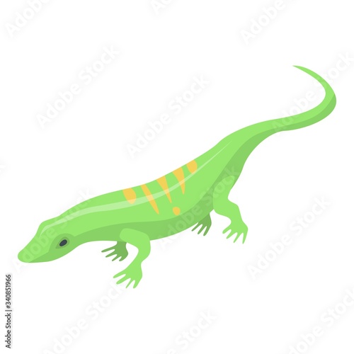 Striped green lizard icon. Isometric of striped green lizard vector icon for web design isolated on white background
