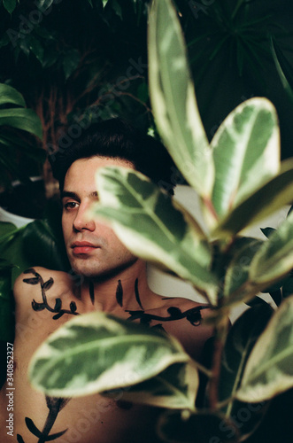 A young handsome brunette in green foliage. Caucasian man with body art near the ficus photo