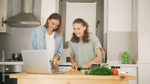 Two young beautiful women girlfriends lesbian couple cook at home in the kitchen cuddling and laughing merrily, home activism, cooking, recipes, staying at home.