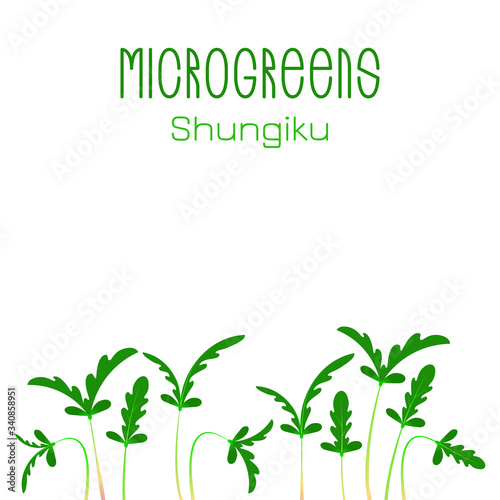 Microgreens Shungiku. Seed packaging design. Sprouting seeds of a plant