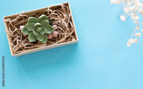 decorative flower and white flowers on a blue background
