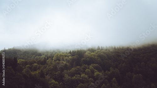 Canvastavla Nature dans la brume