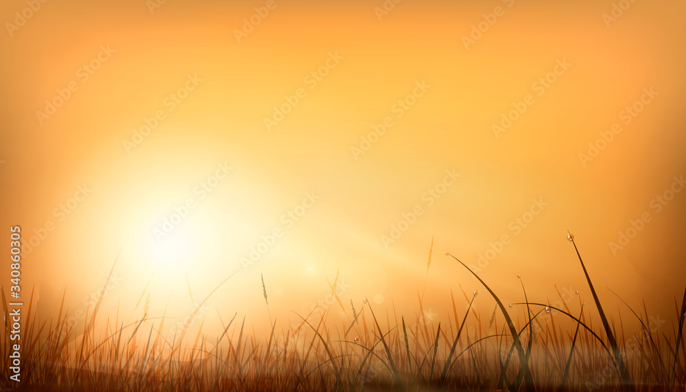 Realistic orange dawn rays of the sun and glare of a natural background over a field of grass. sunset sky background design. Realistic orange dawn rays of the sun and glare of a natural background over a field of grass. sunset sky background design.