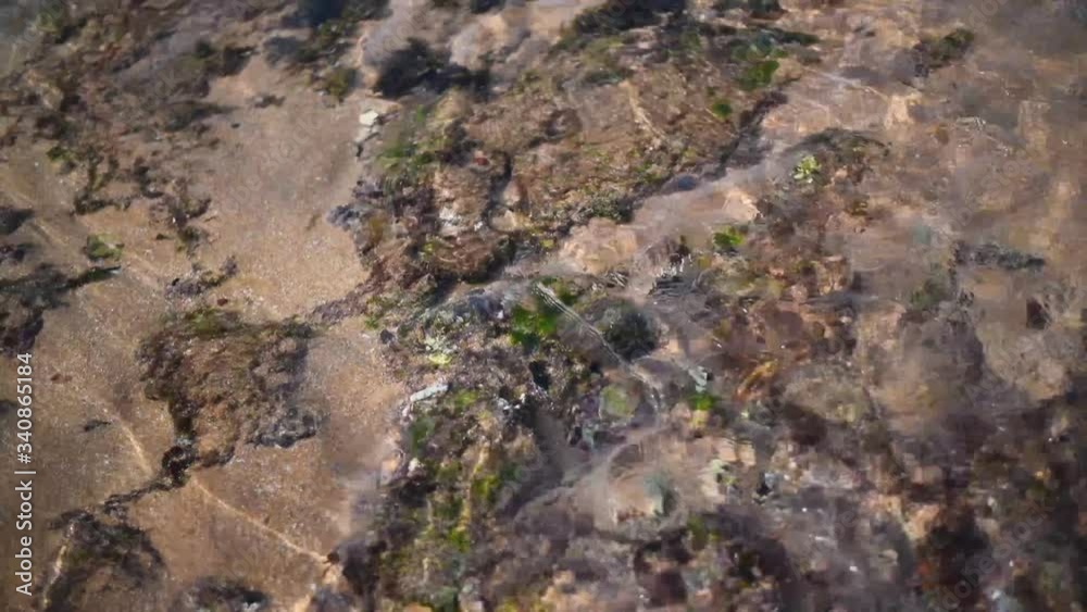 Ocean water flows aground near the shore along a sandy bottom with rocks and a coral reef Ocean water flows aground near the shore along a sandy bottom with rocks and a coral reef