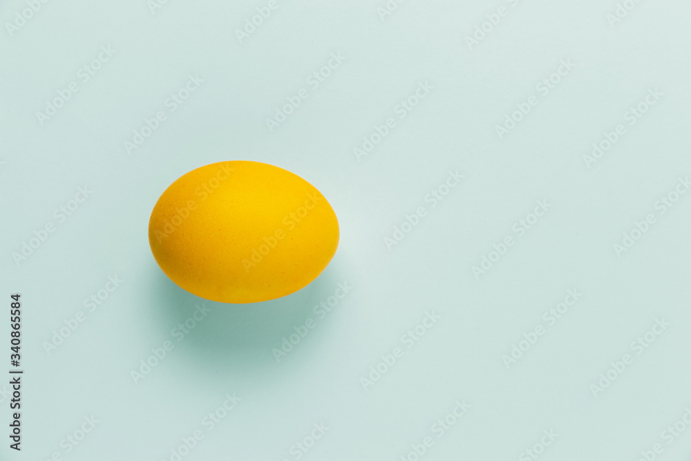 yellow chicken egg yellow chicken egg