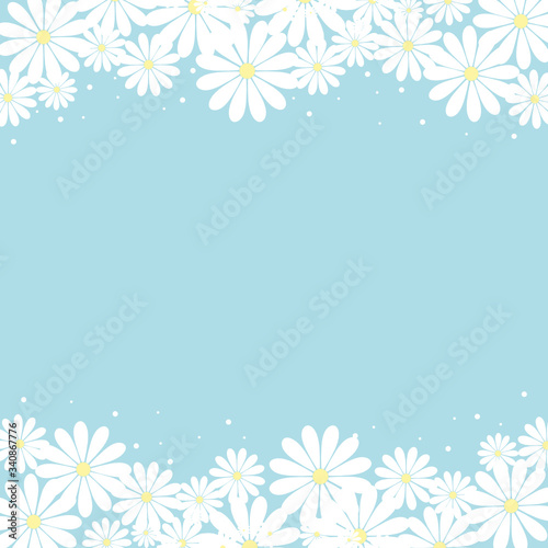 White camomile on blue background.