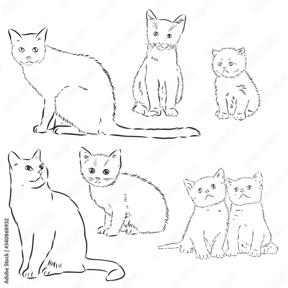Cats set, vector illustration, hand-drawn cute fluffy cats. domestic cat set vector sketch illustration