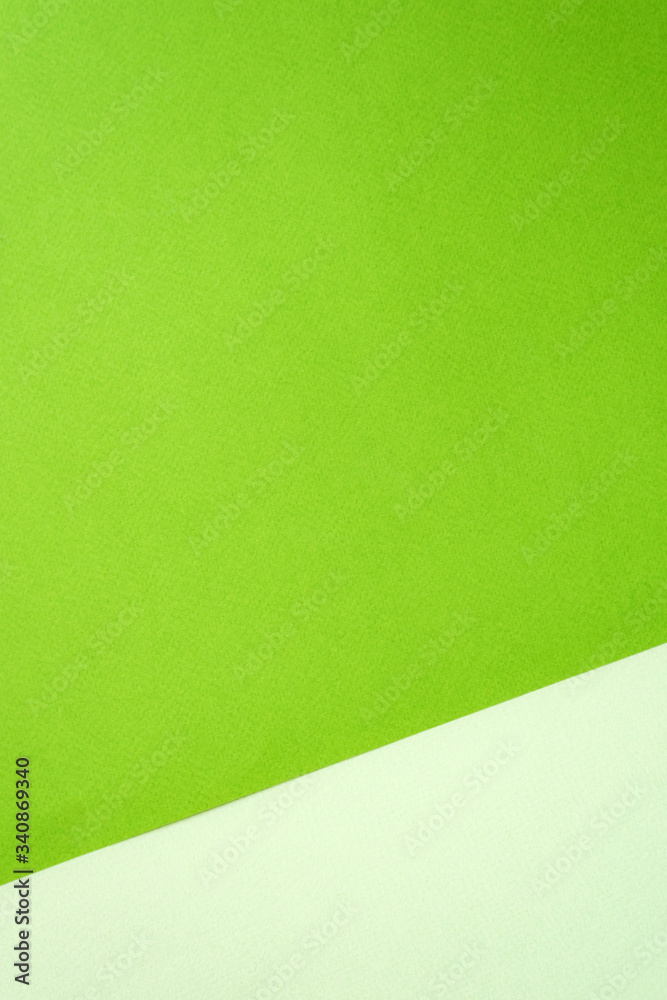 Color of pastel shades of green paper backdrop. Frame, copy space. Blank for design. Color of pastel shades of green paper backdrop. Frame, copy space. Blank for design.
