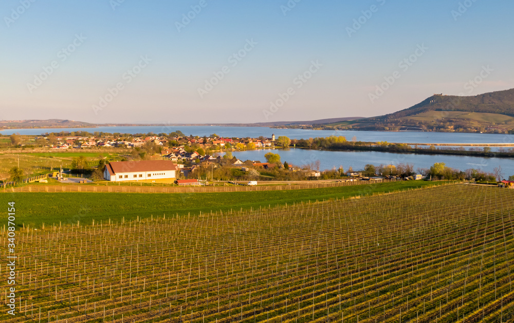 Panoramic aerial view of Palava hills, czech republic. Vineyard land near water reservoir Nove mlyny. Concept of agriculture and wine production. Summer weather, vibrant colors at sunset time. Panoramic aerial view of Palava hills, czech republic. Vineyard land near water reservoir Nove mlyny. Concept of agriculture and wine production. Summer weather, vibrant colors at sunset time.