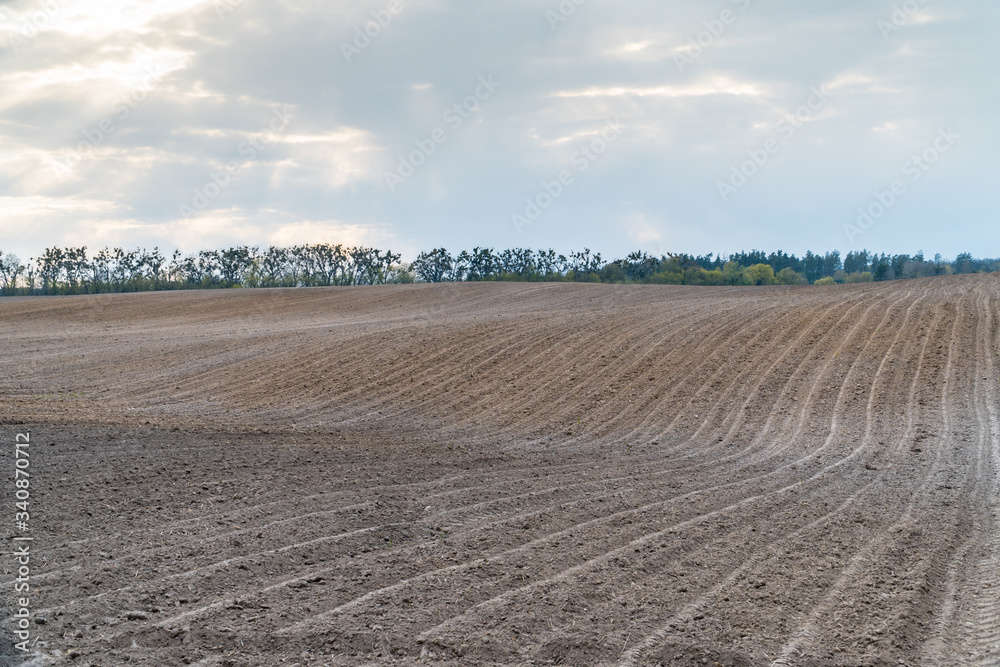 Cultivated dry black soil field in spring